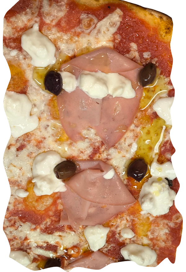 BOLOGNA